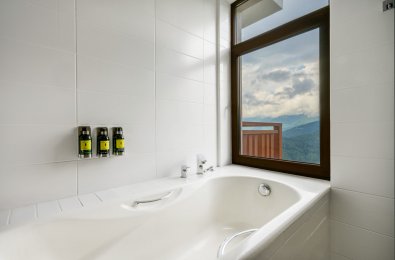 Панорамный люкс Wellbeing