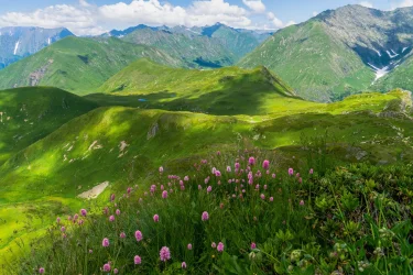 Лето в горах